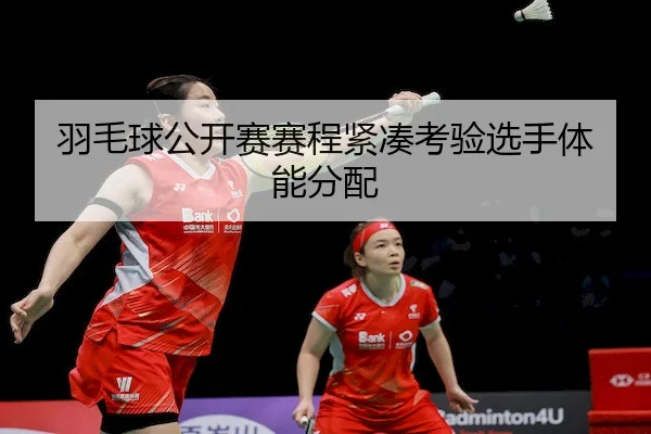 yu-mao-qiu-gong-kai-sai-sai-cheng-jin-cou-kao-yan-xuan-shou-ti-neng-fen-pei-2-668.jpg